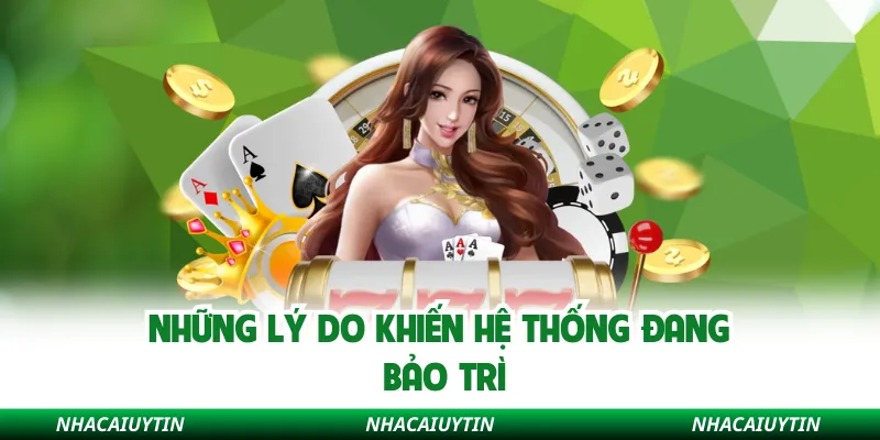 Những lý do khiến hệ thống đang bảo trì