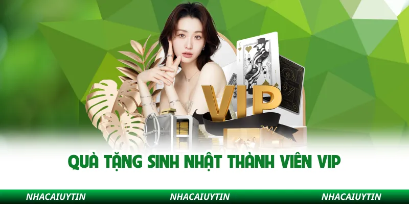 Quà tặng sinh nhật thành viên vip