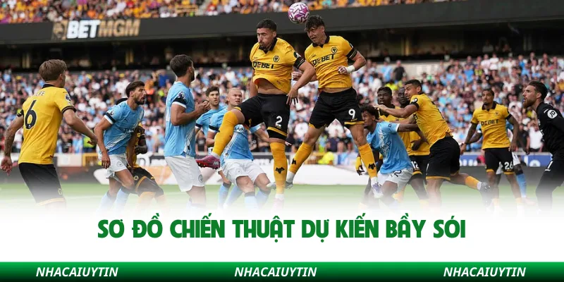 Sơ đồ chiến thuật dự kiến Bầy Sói