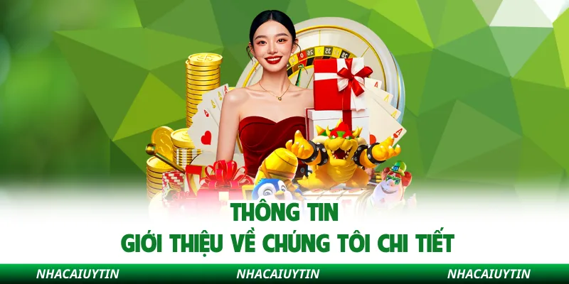 Thông tin giới thiệu về chúng tôi chi tiết