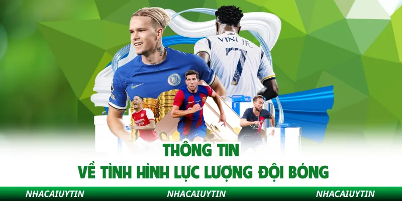 Thông tin về tình hình lực lượng đội bóng