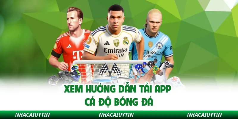 Xem hướng dẫn tải app cá độ bóng đá